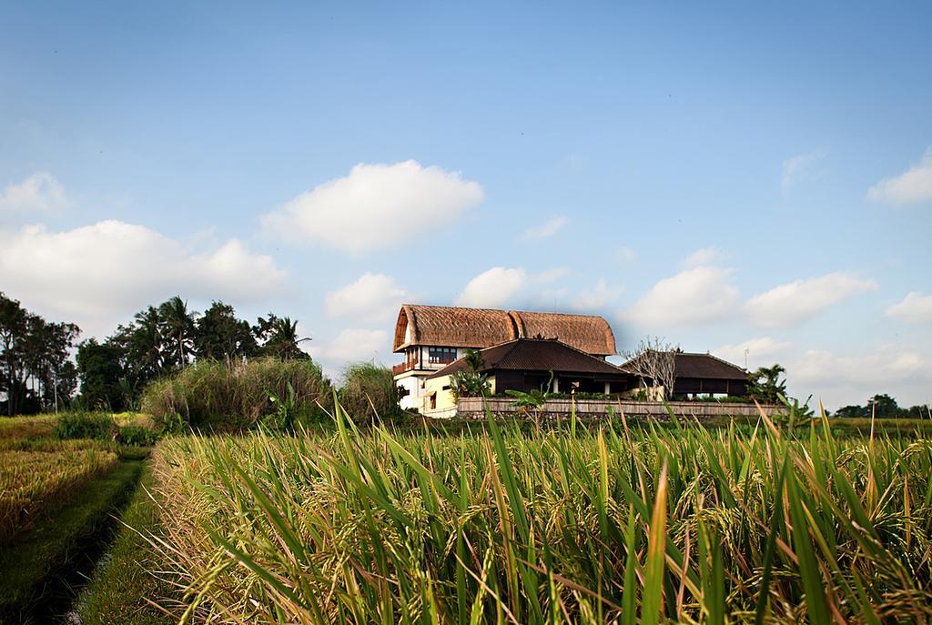 Kubu Kedungu Villas Tanah Lot Eksteriør billede